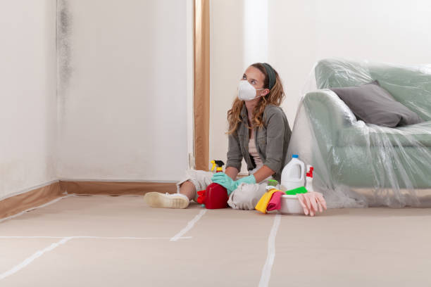 Reliable Basement Mold Remediation contractor in Rochelle Park, NJ by WQB Mold Removal